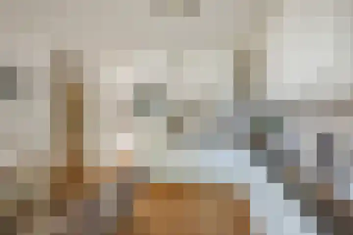 Schaarbeekstraat 15 Amsterdam thumbnail 15