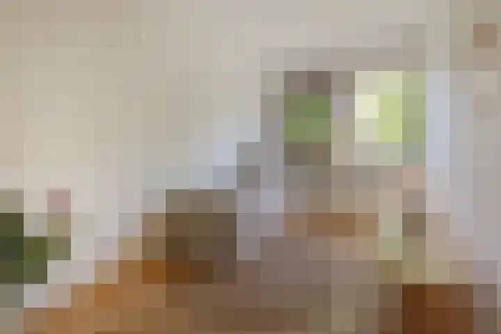 Schaarbeekstraat 15 Amsterdam thumbnail 21