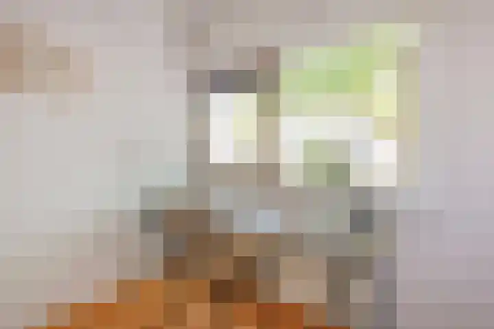 Schaarbeekstraat 15 Amsterdam thumbnail 24