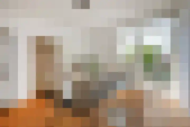 Schaarbeekstraat 15 Amsterdam thumbnail 30