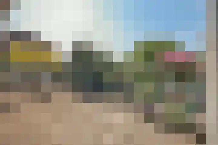 Schaarbeekstraat 15 Amsterdam thumbnail 31