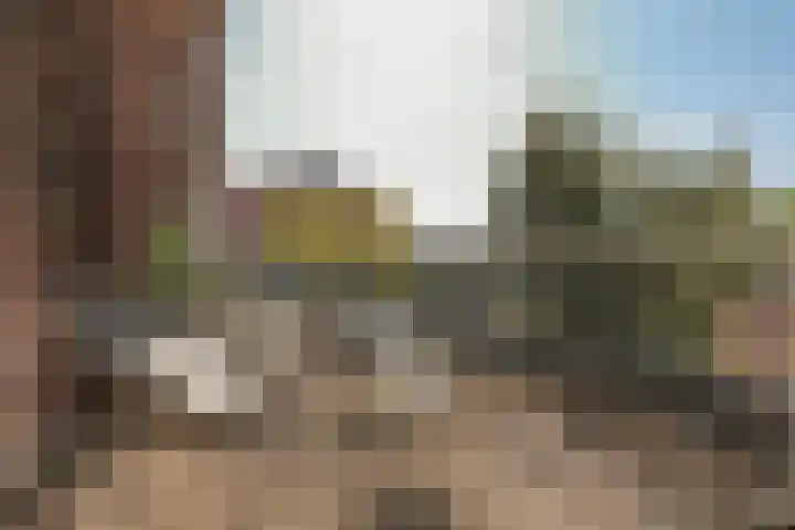 Schaarbeekstraat 15 Amsterdam thumbnail 32