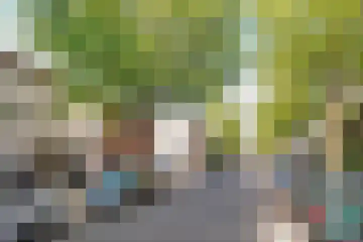 Schaarbeekstraat 15 Amsterdam thumbnail 38
