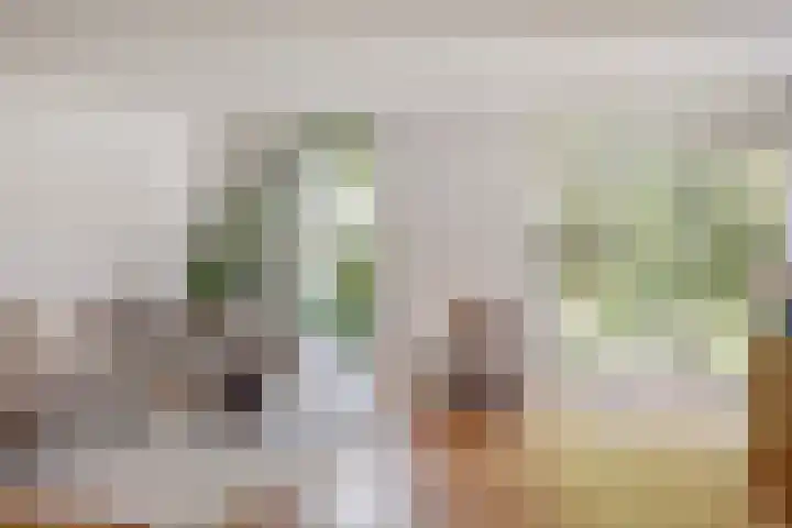 Schaarbeekstraat 15 Amsterdam thumbnail 4
