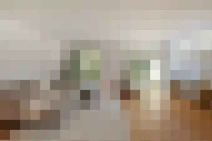 Schaarbeekstraat 15 Amsterdam thumbnail 5