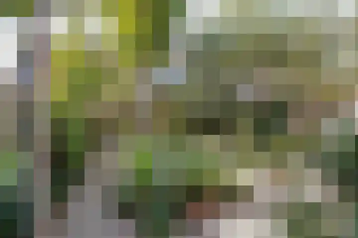 Schaarbeekstraat 15 Amsterdam thumbnail 6