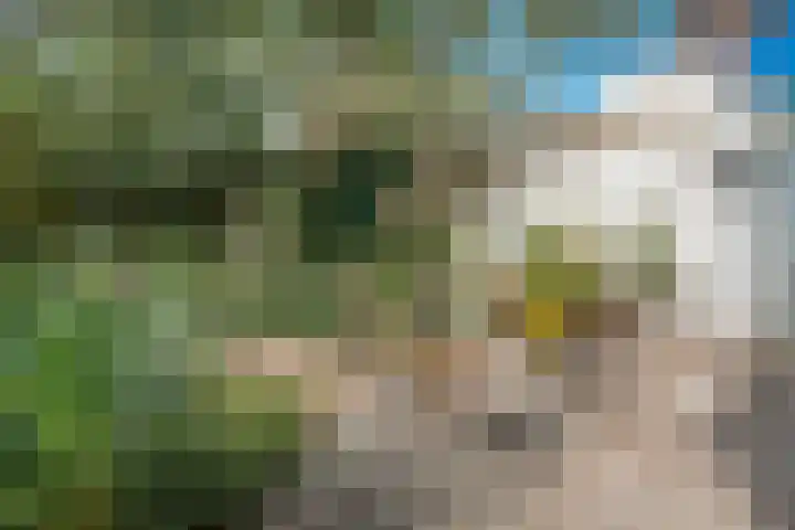Schaarbeekstraat 15 Amsterdam thumbnail 7