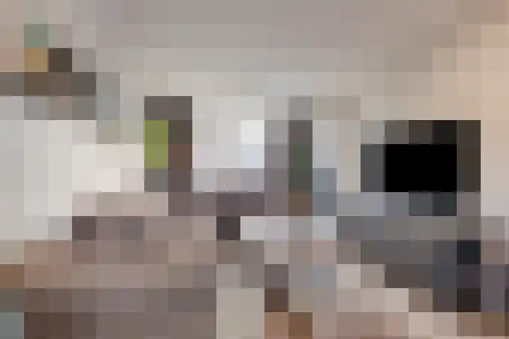 Schaarbeekstraat 4 Breda thumbnail 13