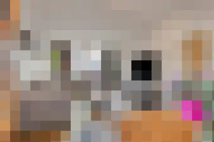 Schaarbeekstraat 4 Breda thumbnail 16