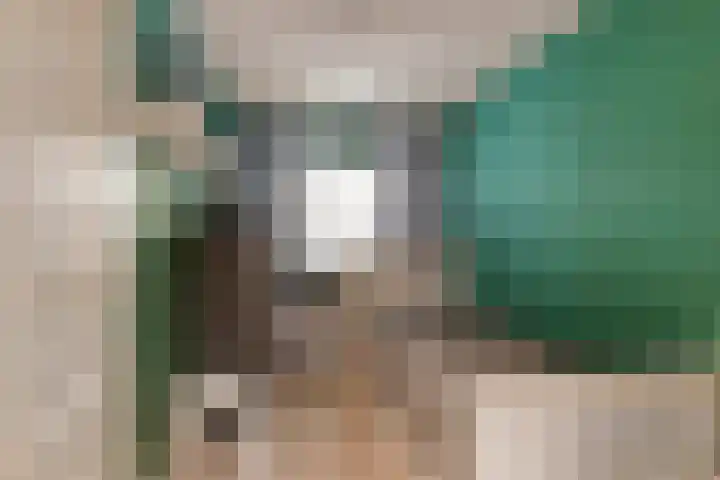 Schaarbeekstraat 4 Breda thumbnail 26