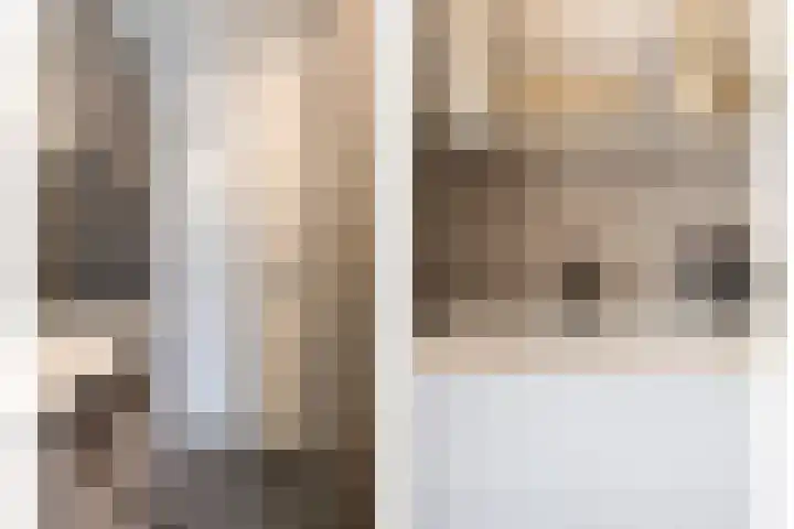 Schaarbeekstraat 4 Breda thumbnail 28
