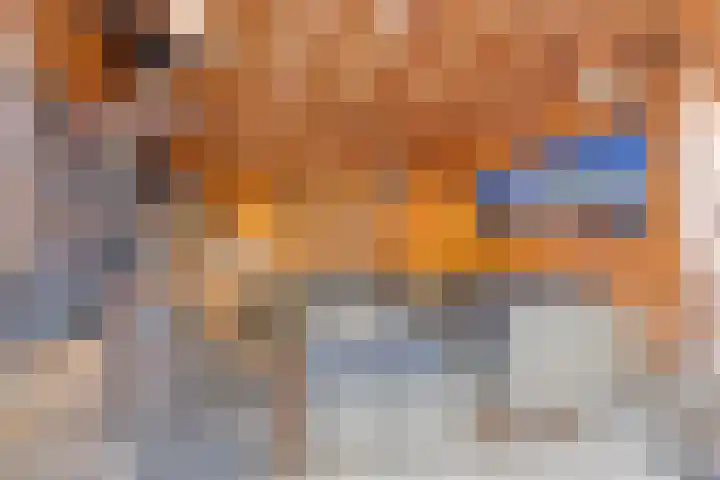 Schaarbeekstraat 4 Breda thumbnail 38