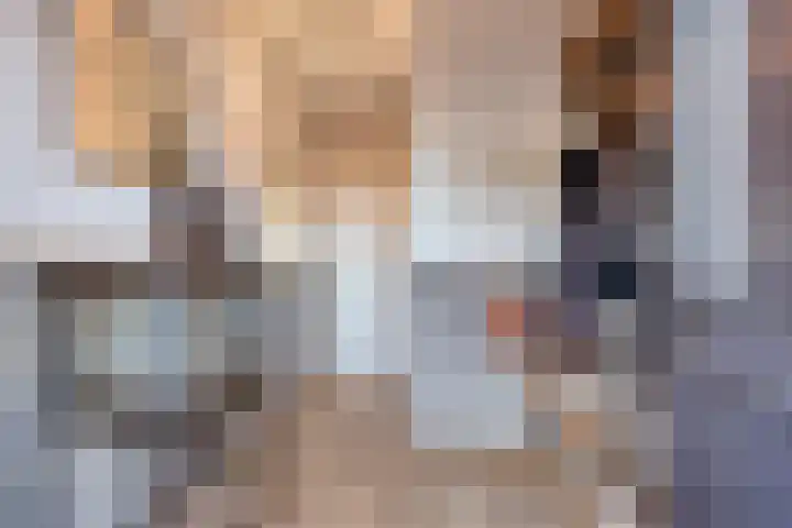 Schaarbeekstraat 4 Breda thumbnail 9