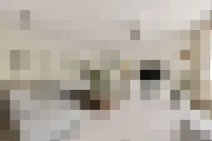 Schaarbeekstraat 40 Amsterdam thumbnail 6