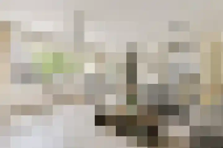 Schaarbeekstraat 40 Amsterdam thumbnail 7