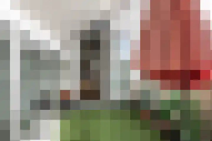 Schaarbeekstraat 44 Amsterdam thumbnail 25