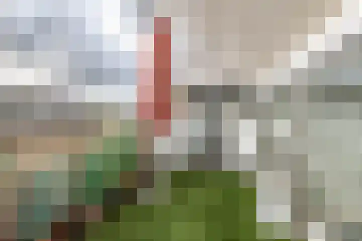 Schaarbeekstraat 44 Amsterdam thumbnail 5