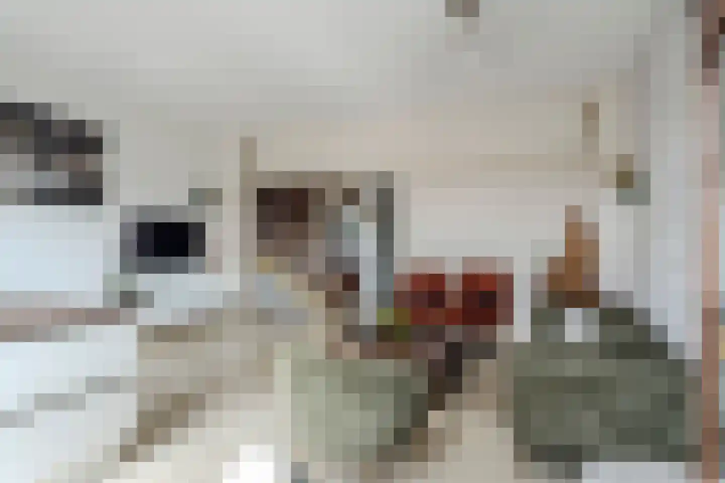 Schaarbeekstraat 47 Amsterdam thumbnail 6