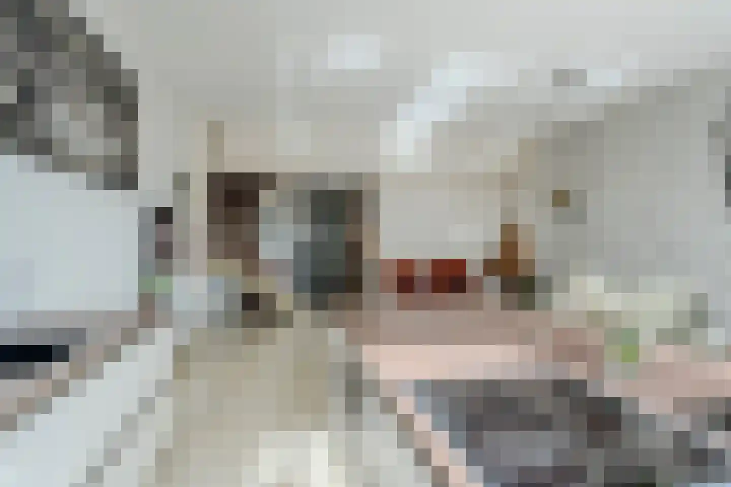 Schaarbeekstraat 47 Amsterdam thumbnail 8