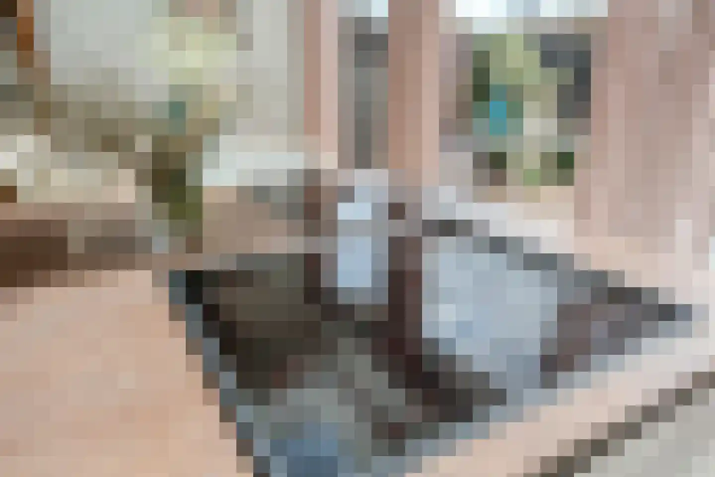 Schaarbeekstraat 47 Amsterdam thumbnail 8