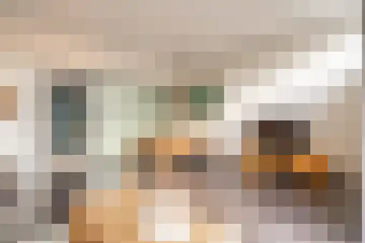Schaarbeekstraat 67 Amsterdam thumbnail 17