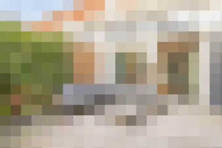 Schaarbeekstraat 67 Amsterdam thumbnail 21