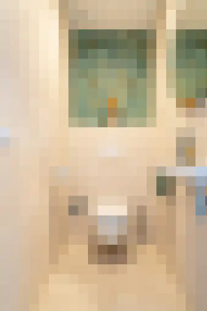 Schaarbeekstraat 67 Amsterdam thumbnail 23