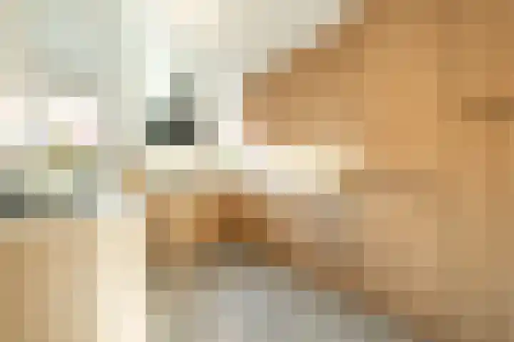 Schaarbeekstraat 67 Amsterdam thumbnail 4