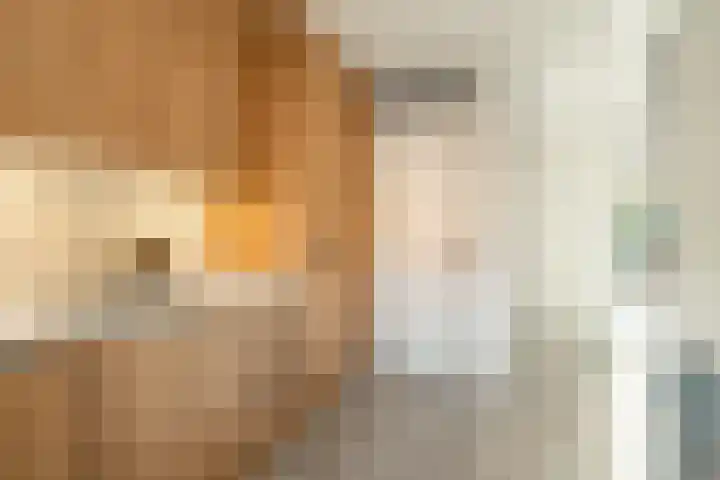 Schaarbeekstraat 67 Amsterdam thumbnail 6