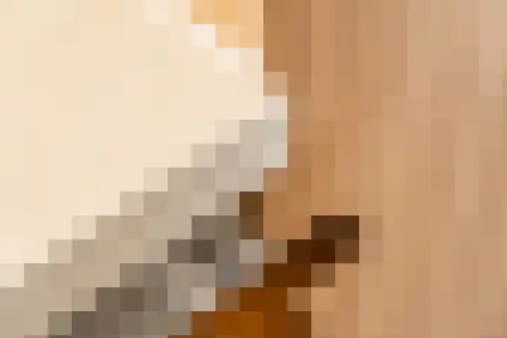 Schaarbeekstraat 67 Amsterdam thumbnail 7