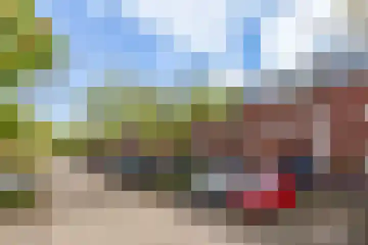 Schaarbeekstraat 69 Amsterdam thumbnail 10