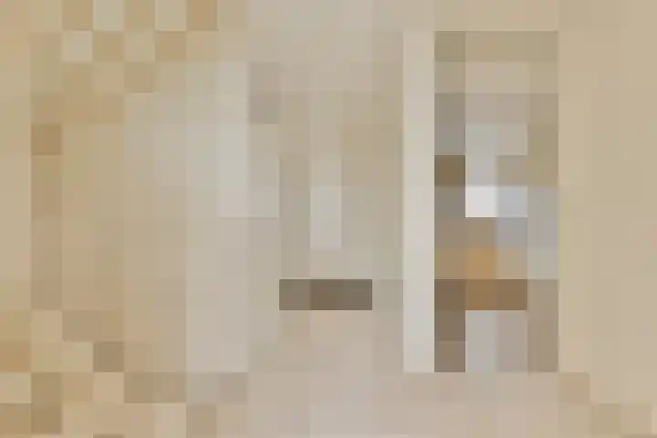 Schaarbeekstraat 69 Amsterdam thumbnail 4