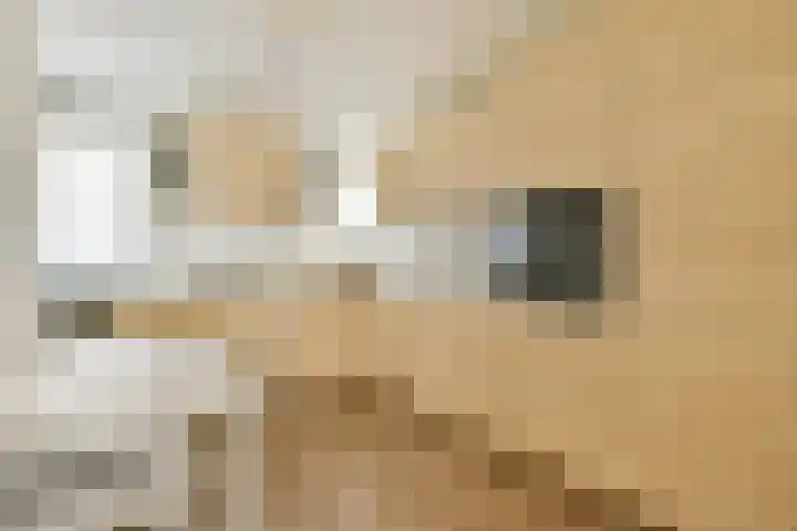 Schaarbeekstraat 69 Amsterdam thumbnail 5