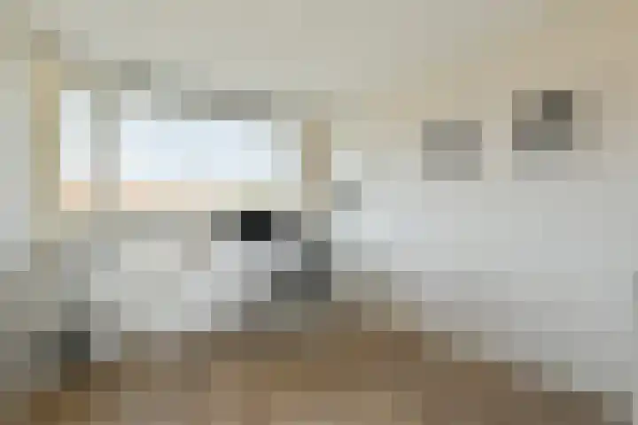 Schaarbeekstraat 69 Amsterdam thumbnail 7