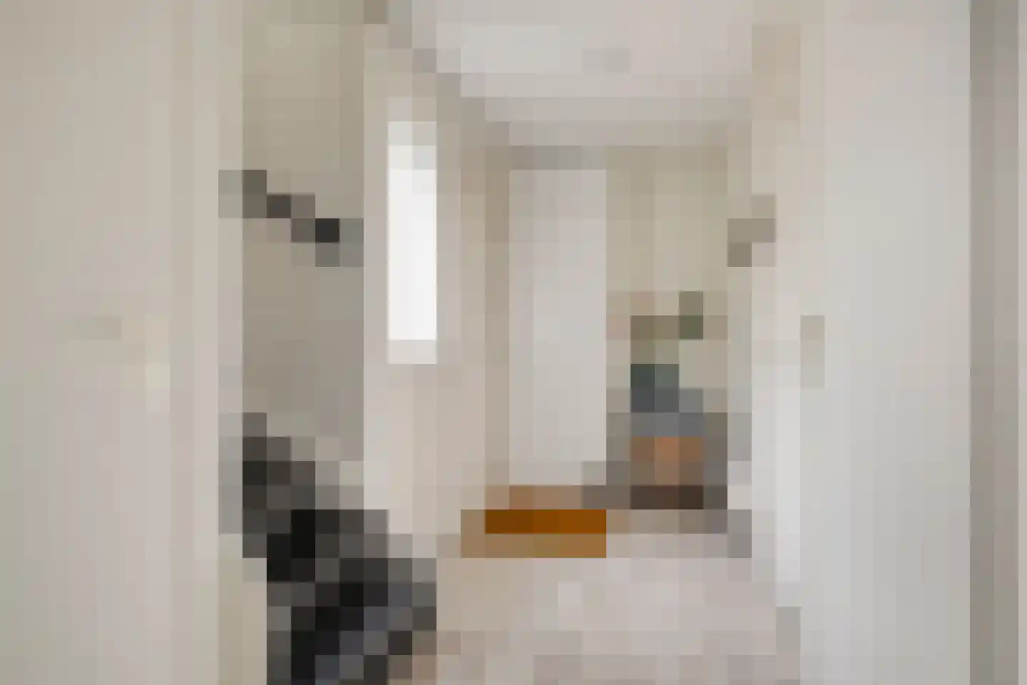 Schaarbeekstraat 81 Amsterdam thumbnail 11