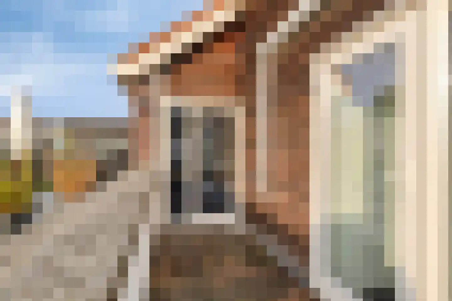 Schaarbeekstraat 81 Amsterdam thumbnail 20