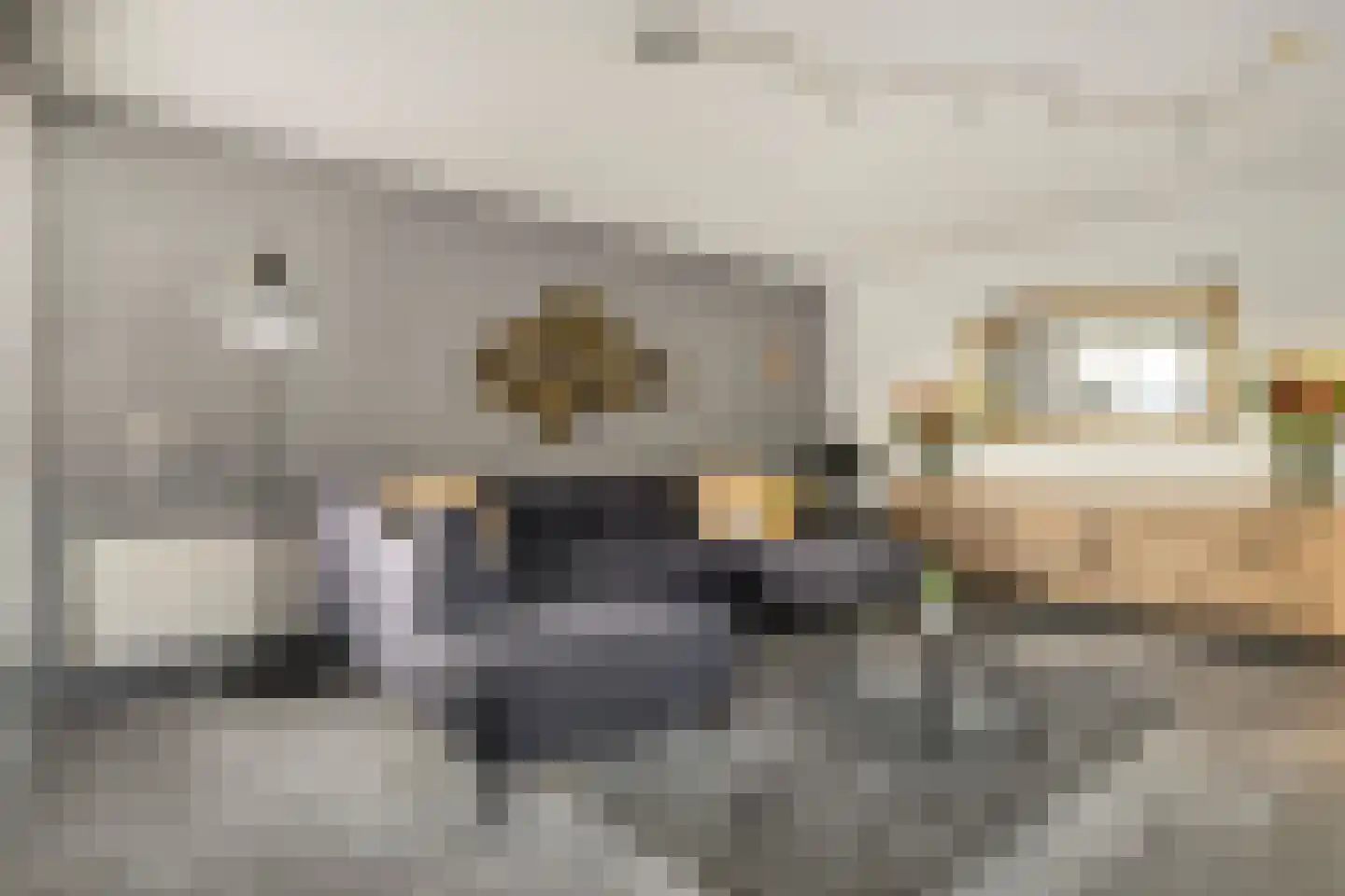Schaarbeekstraat 81 Amsterdam thumbnail 5
