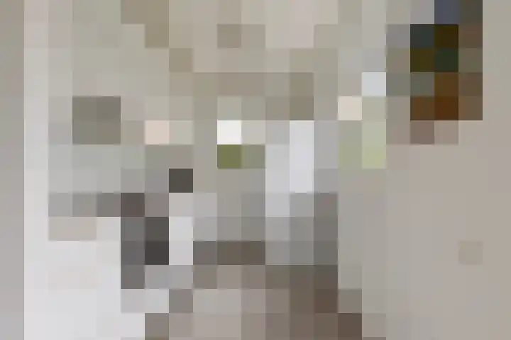 Schaardijk 5 Zierikzee thumbnail 11