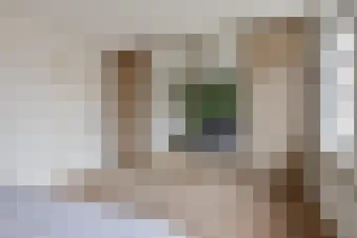Schaardijk 5 Zierikzee thumbnail 13