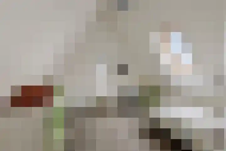 Schaardijk 5 Zierikzee thumbnail 20