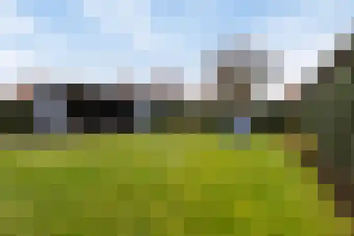Schaardijk 5 Zierikzee thumbnail 21