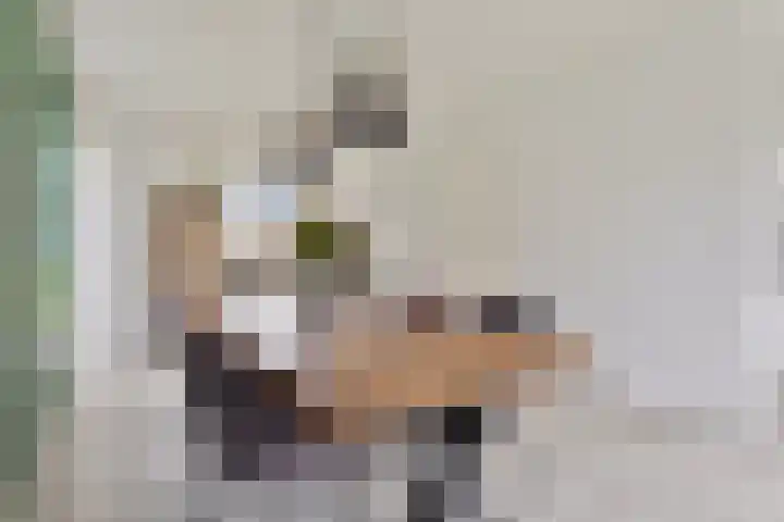 Schaardijk 5 Zierikzee thumbnail 4