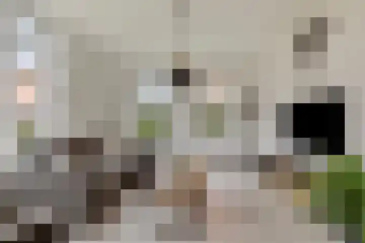 Schaardijk 5 Zierikzee thumbnail 6
