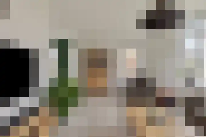 Schaardijk 5 Zierikzee thumbnail 7
