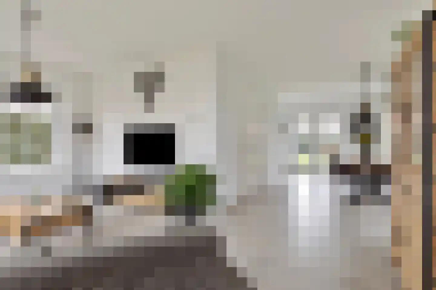 Schaardijk 5 Zierikzee thumbnail 8
