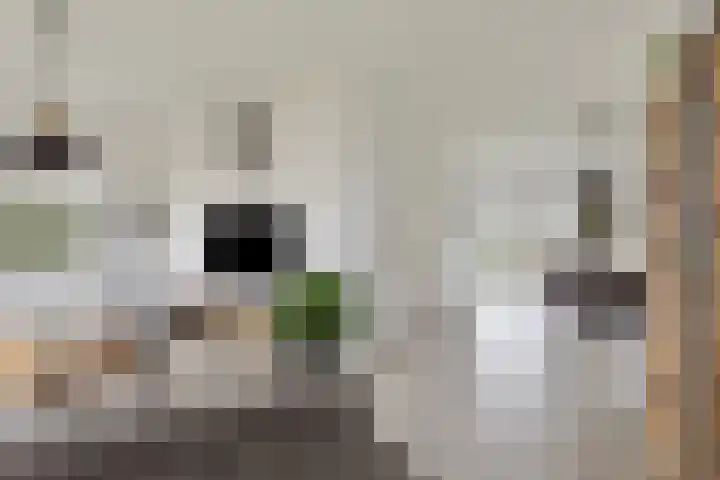 Schaardijk 5 Zierikzee thumbnail 8