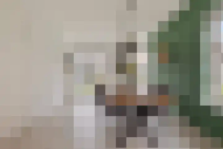 Schaardijk 5 Zierikzee thumbnail 9