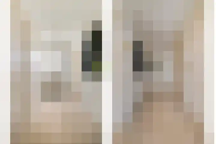 Schaardijkseweg 7 Zoelmond thumbnail 13