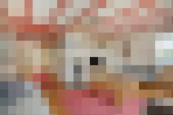 Schaardijkseweg 7 Zoelmond thumbnail 17