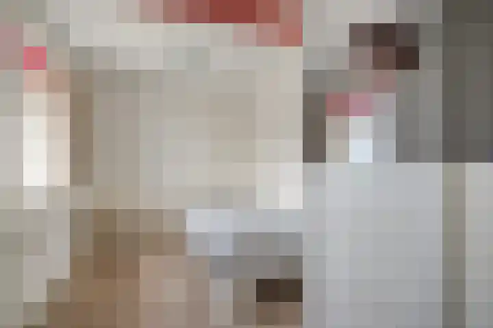 Schaardijkseweg 7 Zoelmond thumbnail 19